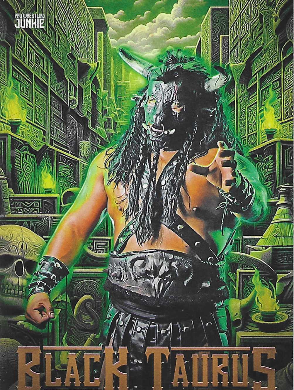 2024 - 2025 Pro Wrestling Junkie Series 4 Trading Cards - Sample