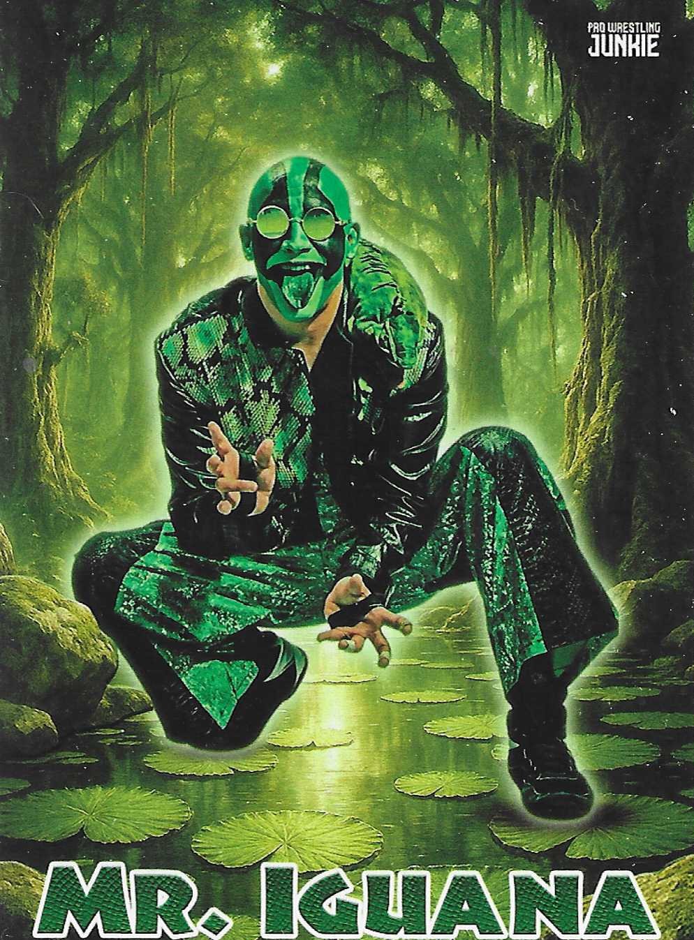2025 Pro Wrestling Junkie Series 5 Trading Cards - Sample