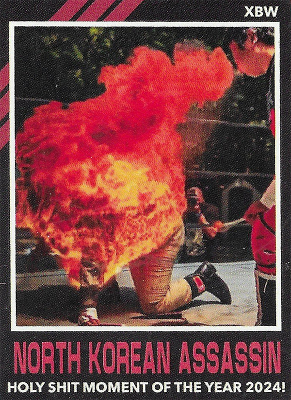 2025 X Brand Wrestling Series 2 Trading Cards - North Korean Assassin