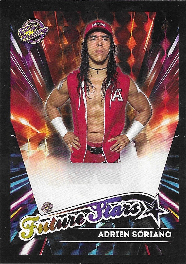 2025 PPW Series 6 Trading Cards Sample Card